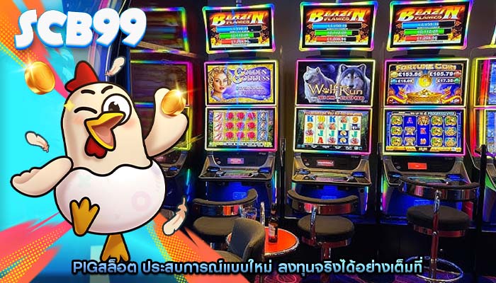 pigสล็อต ประสบการณ์แบบใหม่ ลงทุนจริงได้อย่างเต็มที่